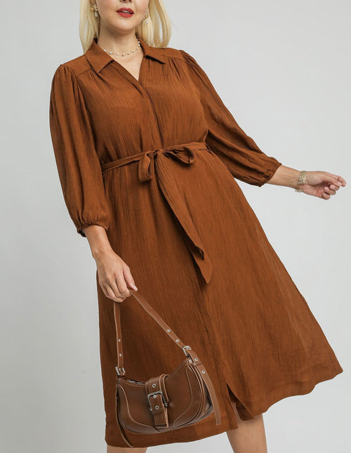 Curvy Brown Button Up Dress