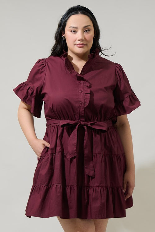 Curvy Maroon Poplin Dress