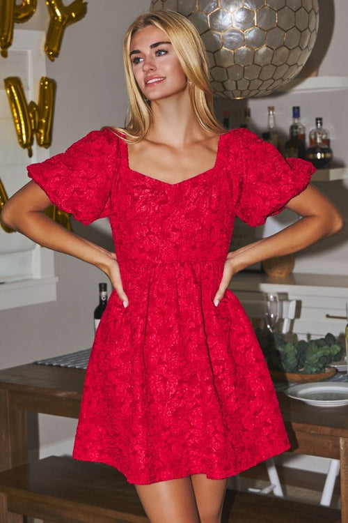 Curvy Red Jacquard Dress