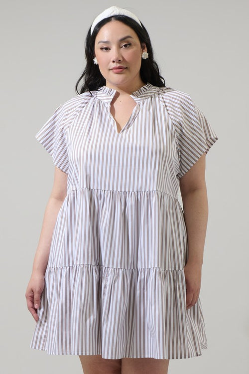 Curvy Mocha Stripe Dress