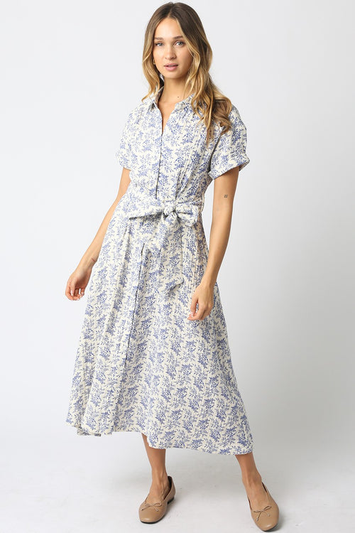 Blue and Cream Cotton Midi Dress