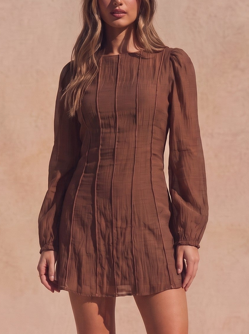 Brown Long Sleeve Mini Dress