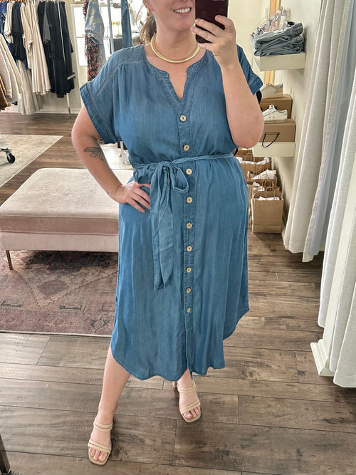 Curvy Chambray Dress