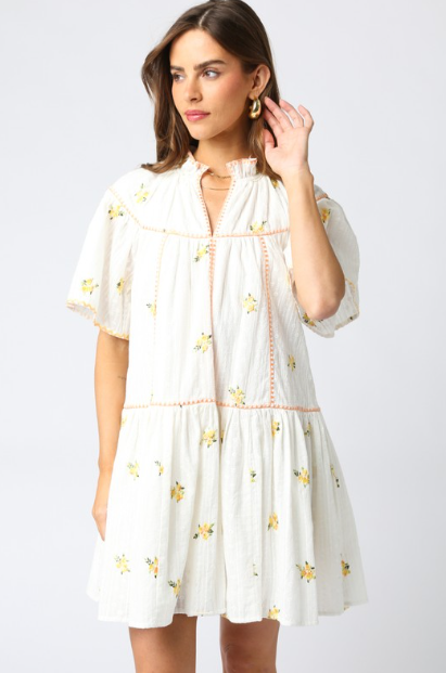 Eyelet Drop Waist Dress