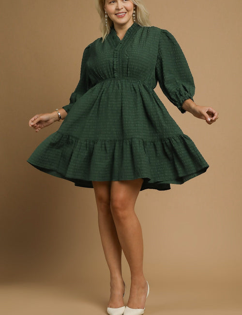 Curvy Textured Ruffle Mini Dress