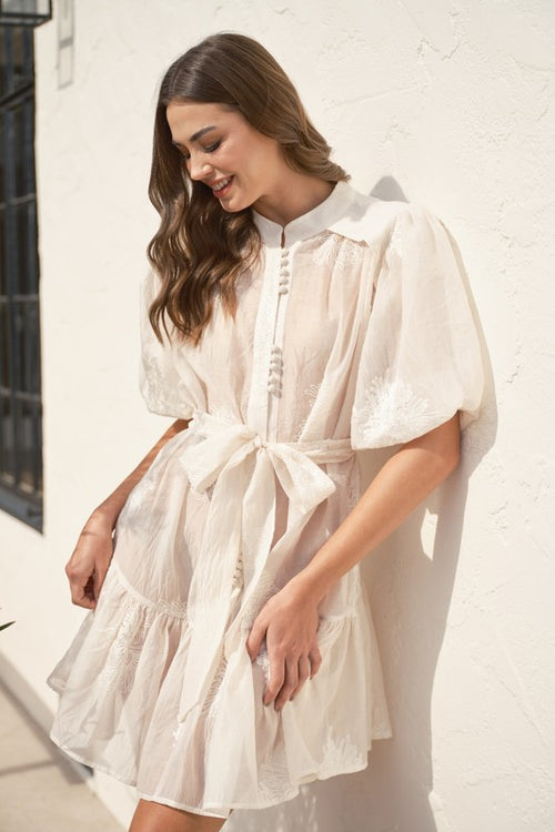 Embroidered Puff Sleeve Dress